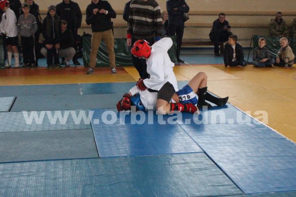 Покровск принял Чемпионат области по боевому самбо