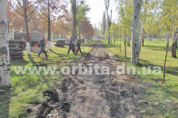 В Покровске началось благоустройство березовой рощи