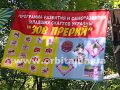 Слет скаутов «Зов прерий» в  Никаноровском лесу