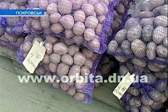 Почем нынче продукты на рынках Покровска?