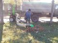 news_mirnograd_pilesos