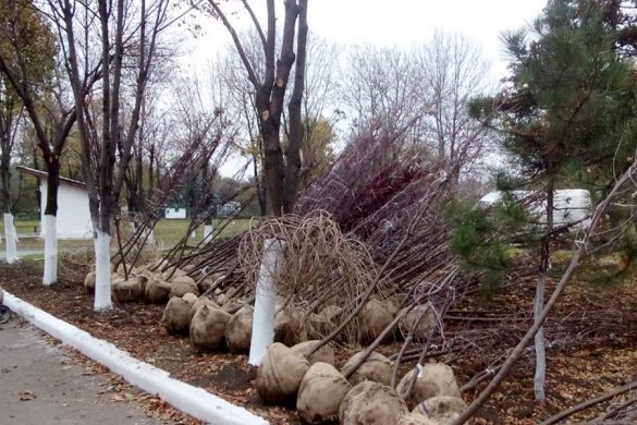 Поселок Шевченко продолжает подготовку к своему дню рождения
