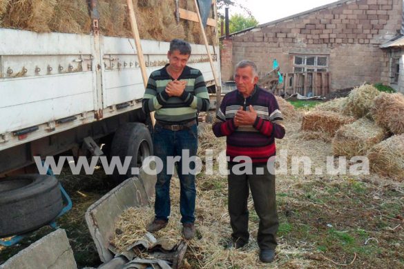 К помощи зоопарку-погорельцу из Покровска подключились студенты и городская власть