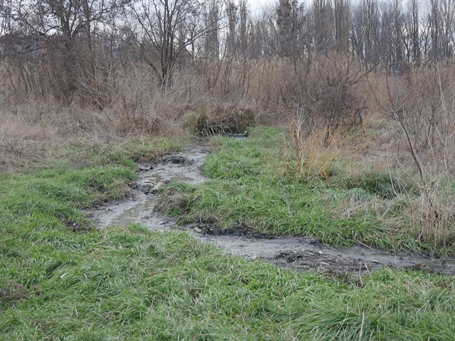 mirnograd_kollektor_2