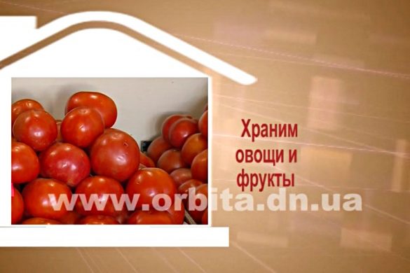 Дом советов 31.10.2016