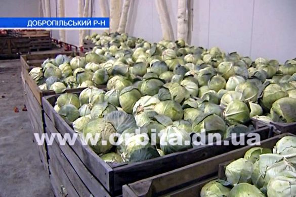 В гостях у «Перспективы»: производство на новом уровне