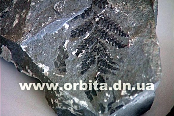 Уникальная коллекция… из шахтного забоя
