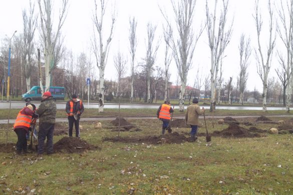 Молодых деревьев в Покровске стало еще больше