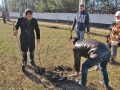 В Покровске будет ореховый сад
