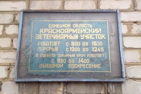 Африканская чума свиней уже близко