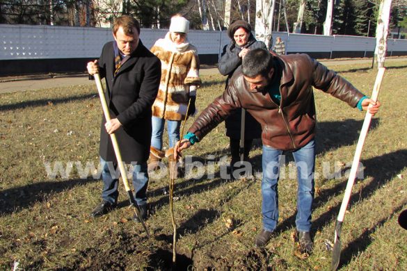 В Покровске 900 гектаров засадят грецкими орехами. Начало положено
