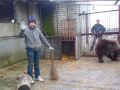 zoopark1
