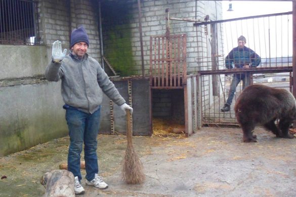 «Сдаваться – нельзя!» Жизнь мини-зоопарка в Покровске спустя 1,5 месяца после пожара
