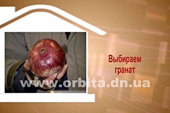 Дом советов 28.11.2016