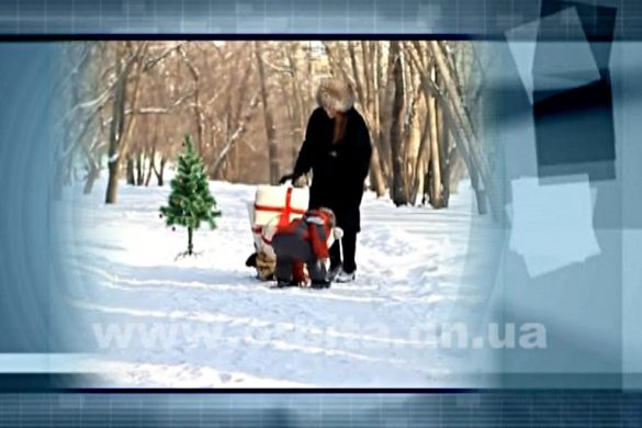 Новый взгляд 25.12.2016