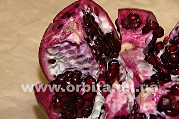 Научим выбирать вкусный гранат