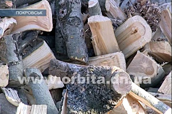В Покровске одиноким старикам развозят дрова