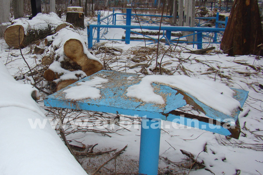 kladbische_dereviya_11-01-17_02