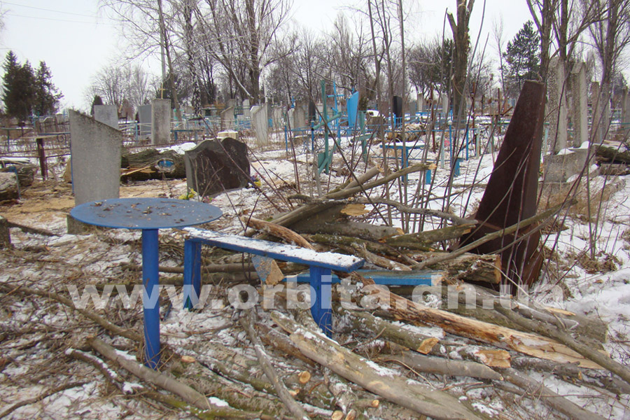 kladbische_dereviya_11-01-17_03