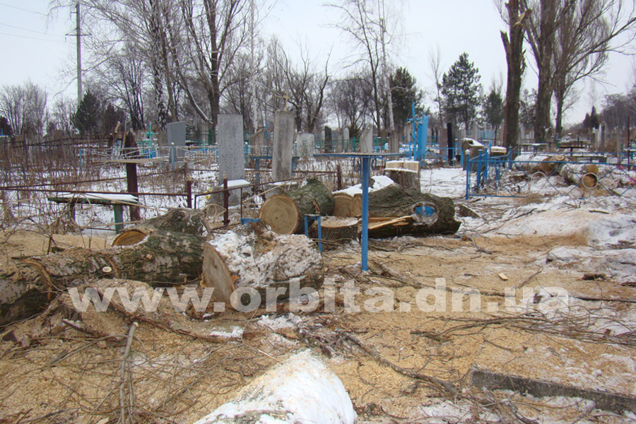 kladbische_dereviya_11-01-17_05