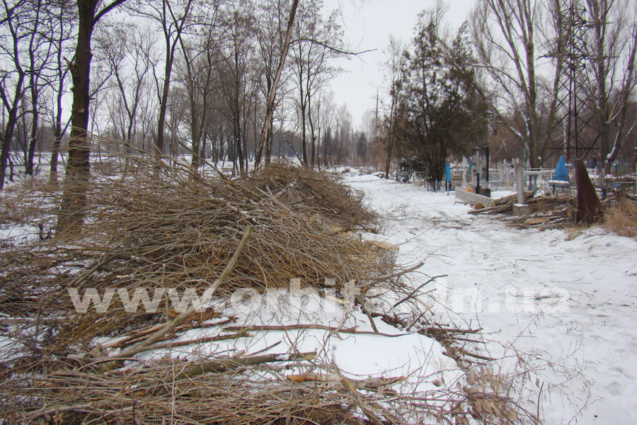 kladbische_dereviya_11-01-17_09