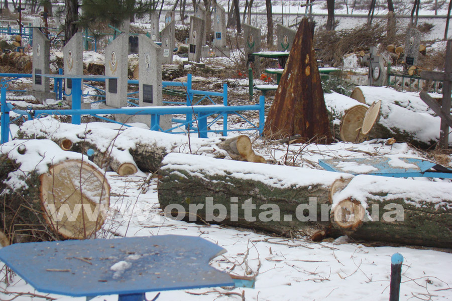 kladbische_dereviya_11-01-17_13