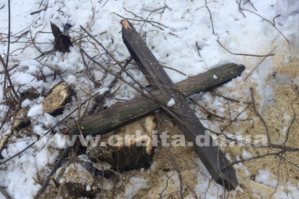 Кто будет устранять последствия спила деревьев на кладбище в Покровске?