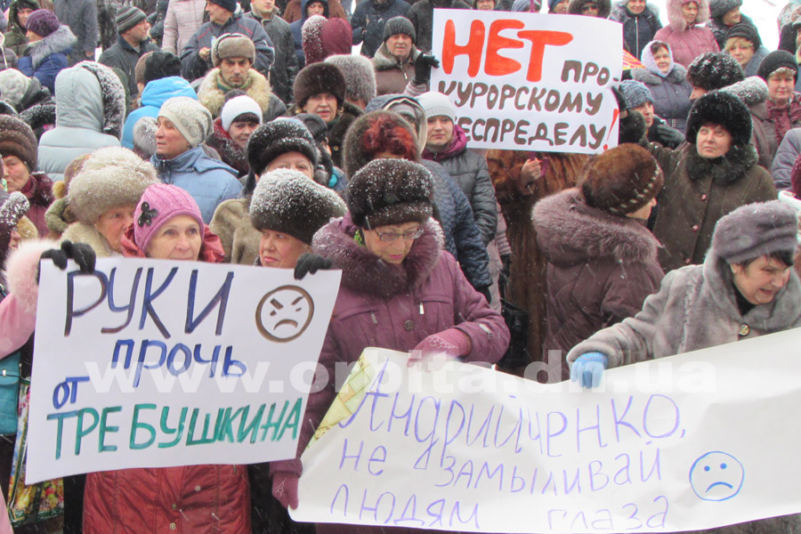 miting_za_trebushkina_25-01-17_11