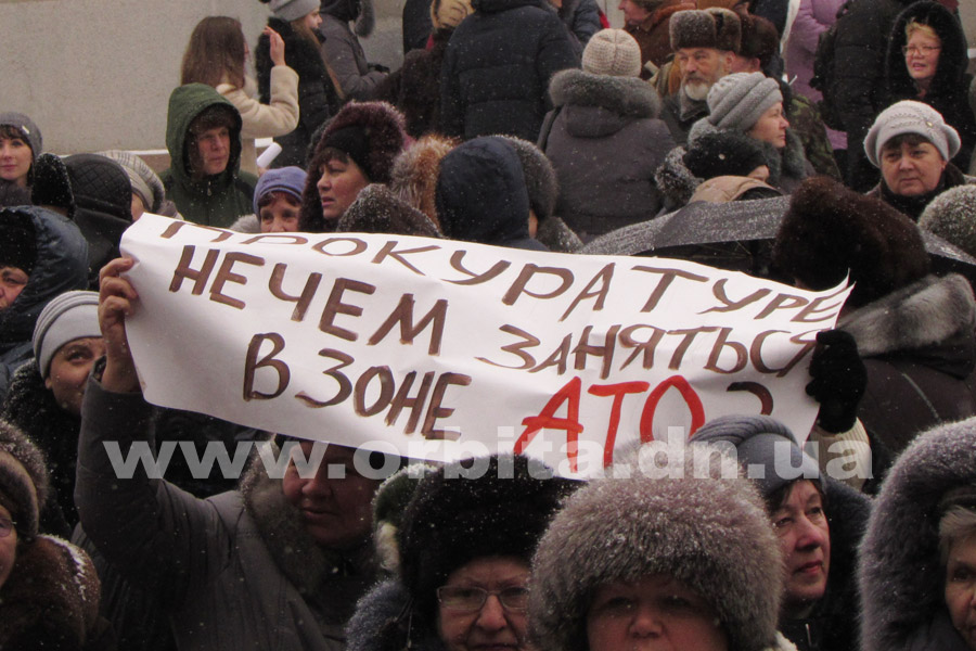 miting_za_trebushkina_25-01-17_12