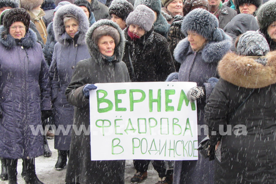 miting_za_trebushkina_25-01-17_16