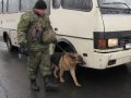 Служащий на Покровском блок посту пёс нашел оружие
