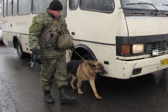 Служащий на Покровском блок посту пёс нашел оружие