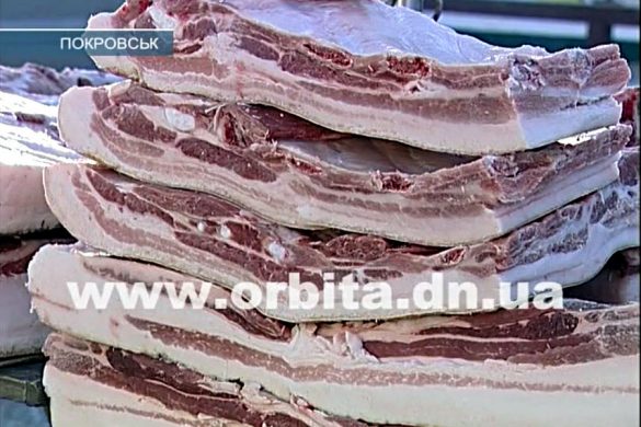 Удалось ли в нашем регионе остановить африканскую чуму свиней?