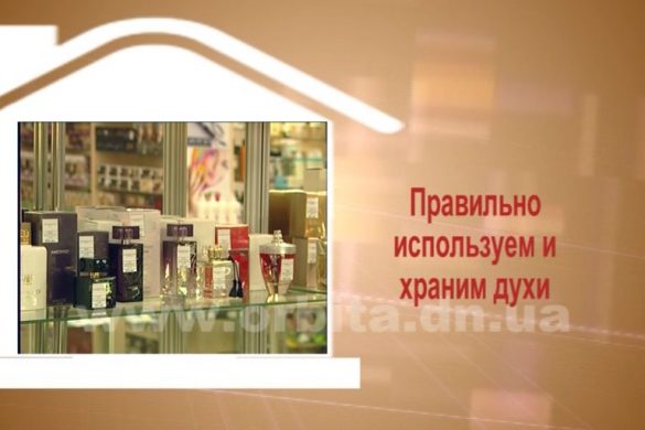 Дом советов 23.01.2017