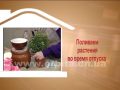 Дом советов 30.01.2017