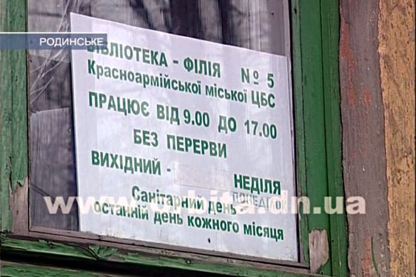 За какие средства ремонтируют родинскую библиотеку?