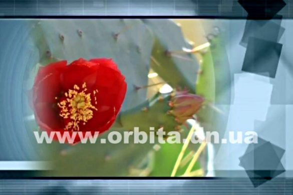 Новый взгляд 26.02.2017