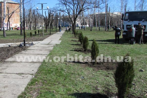 В Покровске появилась аллея единения