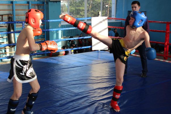 Кікбоксери Покровська посіли друге місце на обласному чемпіонаті