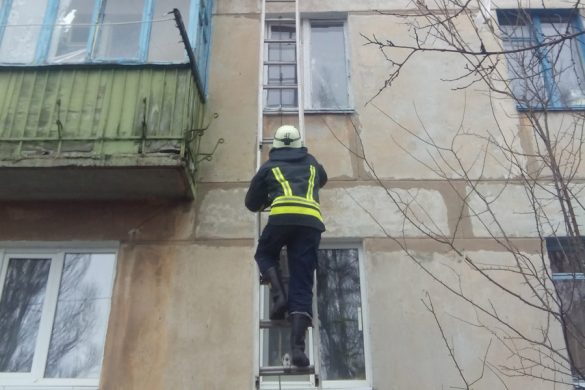 mirnograd_spasateli