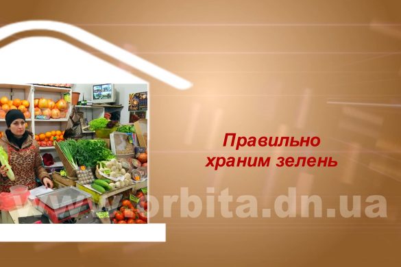 Дом советов 13.03.2017