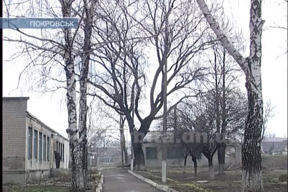Посади дерево – сделай вклад в будущее. В УВК №2 озеленили территорию