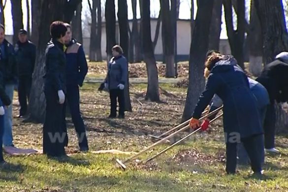 Масштабные субботники в Покровске и поселке Шевченко
