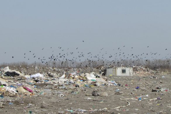 musor_svalka_poligon03_1