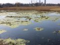 Каково будущее реки Казенный Торец и жителей Новоэкономического?
