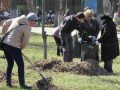 Первые субботники прошли в Покровске и поселке Шевченко