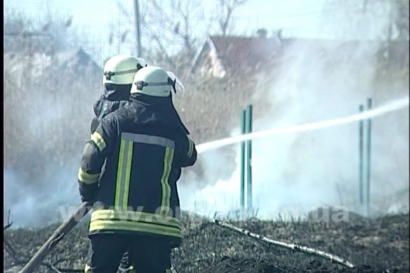 Горел камыш… в балке возле ул. Геофизическая