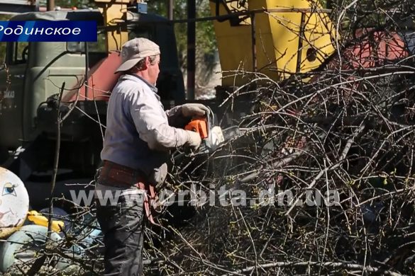 Покровский горсовет помогает ОСМД Родинского в опиловке деревьев