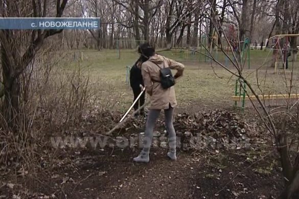 Молодежь ШУ «Покровское» помогла школе-интернату