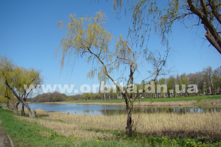 park_yubileyniy_nulevka